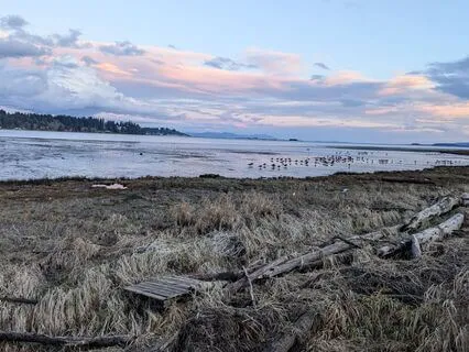 Somatic Meditation On Self Partnership