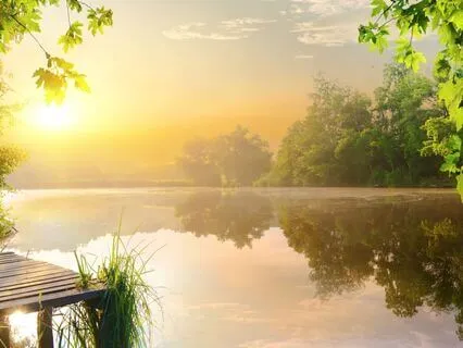 Somatic Meditation To Calm & Reset Your Nervous System