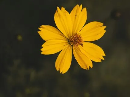 Somatic Meditation To Calm The Overstimulated Mind