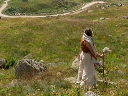 Somatic Orienting: Signal Safety To Your Nervous System