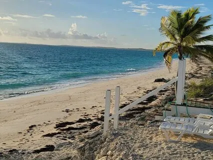 Somatic Pain And Symptom Relief (12 Cranial Nerves /CNS)