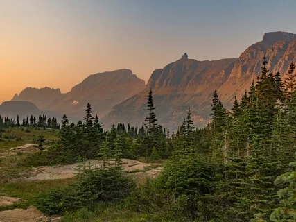 Somatic Practice For Nervous System Regulation