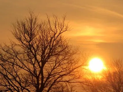 Somatic Practice For Nervous System Regulation