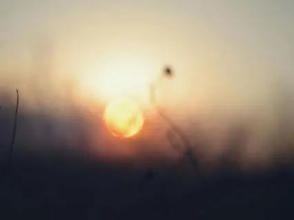 Somatic Relaxation For Sleep