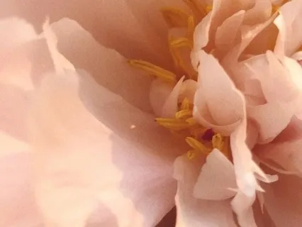 Somatic Self-Care Practice