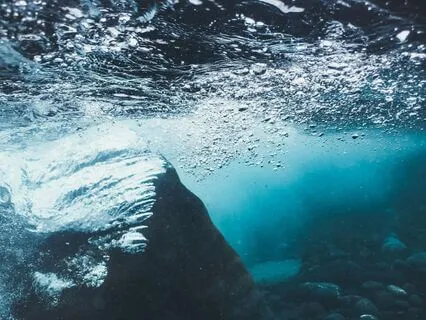 Somatic Shaking Practice To Release Stuck Energy