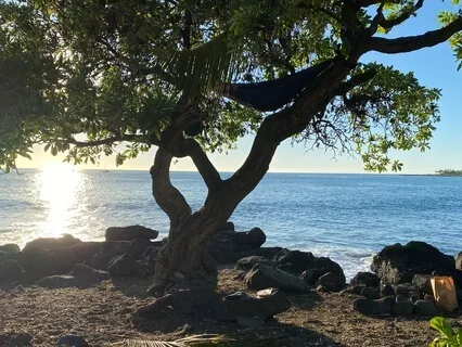 Somatic Support For The Ankles And Heart