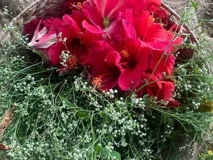 Somatic Touch For Challenging Times