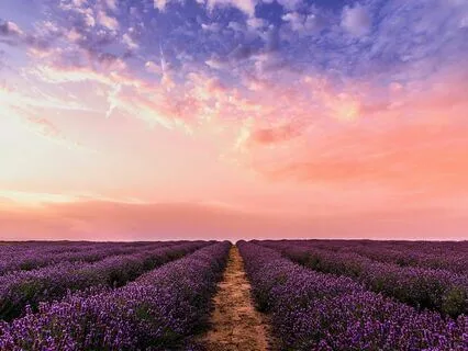 Somatic Tracking For Chronic Pain And Symptoms