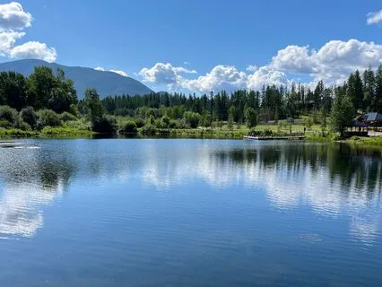 Somatic Tracking For Chronic Pain Extended