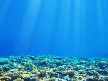 Somatic Tracking For Chronic Pain - Longer Version