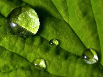 Somatic Tracking For Pain: Safety & Sensation