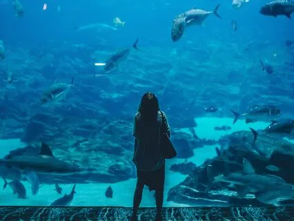 Somatic Tracking For Persistent Symptoms - 10-Minute Version