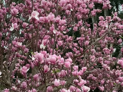 Somatic Tracking For Safety