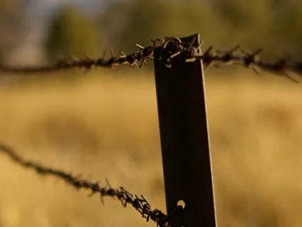 Somatic Tracking Of Anger