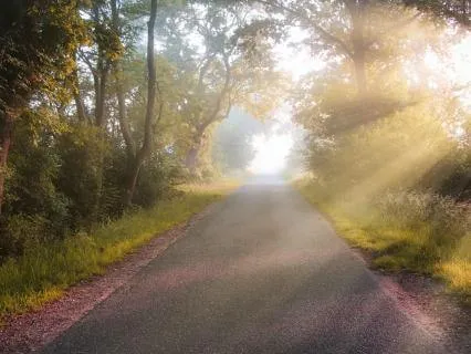 Somatic Tracking: Visualizing Movement With Ease