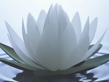 Somatic Yoga Nidra: Rest Into Wholeness