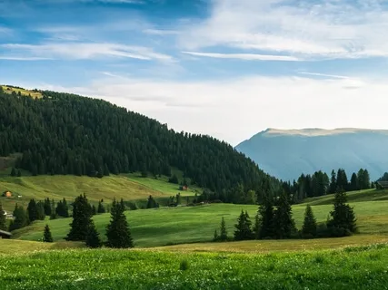Соматическая Медитация "Заземление"