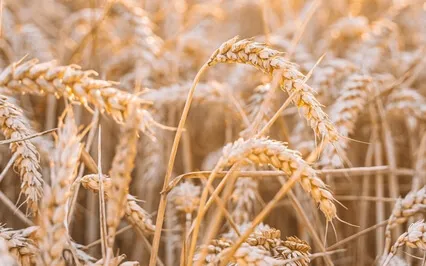 Some Days Are Just Hard