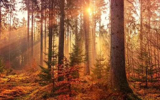 Some Space From Your Thoughts