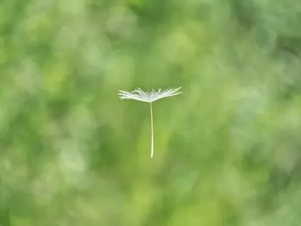 Some-Thing From No-Thing