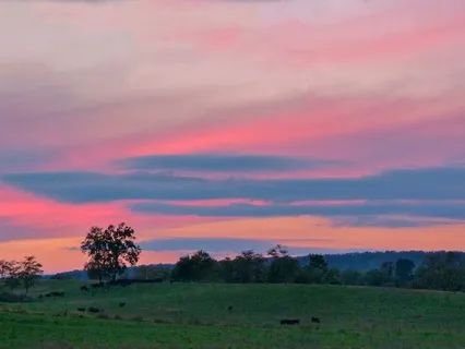 Some Things Just Hurt: Allowing Our Pain