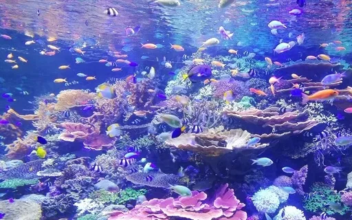 Something Beautiful Is Happening