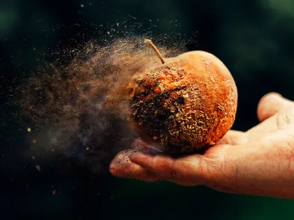 Something Is Rotten In The State Of Denmark