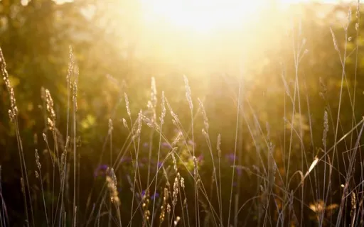 Something New To Chew On