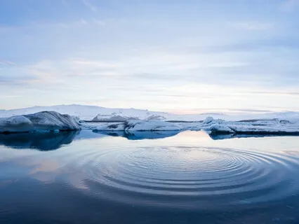 Something Went Missing