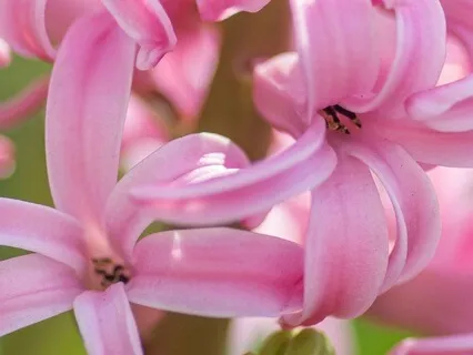 Something Wonderful Is Happening To Me Right Now