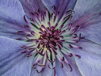 Sometimes An Encounter With A Stranger Changes Us Forever