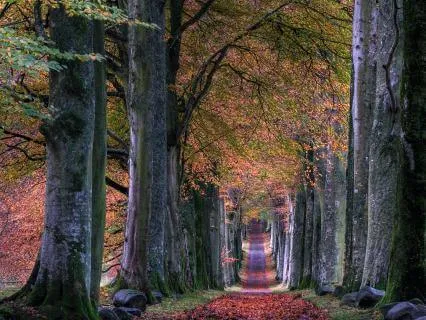 Sometimes Feeling Bad Is Good In Progress