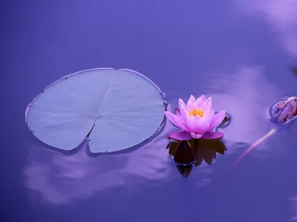 Sometimes I Don't Know If It Is The Knowingness Or My Ego Mind Faking It - How Do I Distinguish?