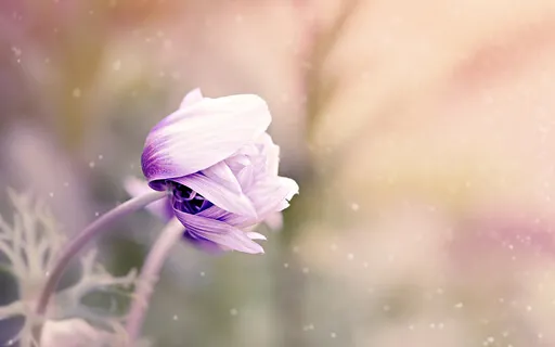 Sometimes/Medicine Buddha Mantra