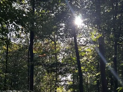 Somewhere In My Hopes