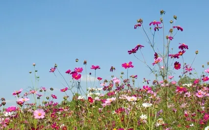 Sommarmeditation med fokus på grundning