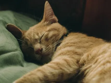 Somnambulant Odyssey - Binaural Beats: Delta Brain Waves