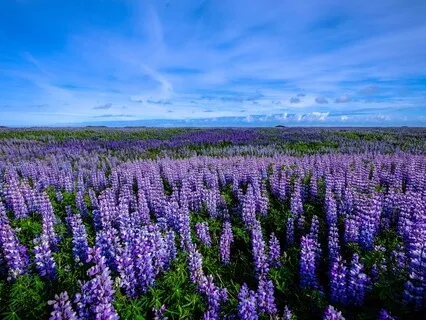 Somni Profund i Reparador: Meditació Guiada (9 min)