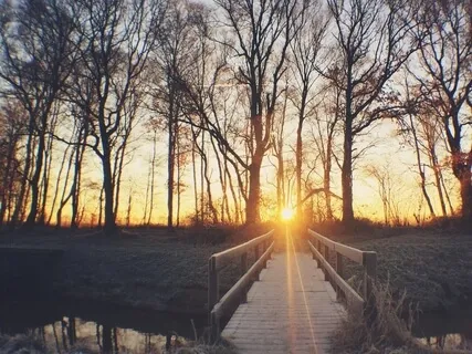 Sonder (Instrumental And Binaural Only)