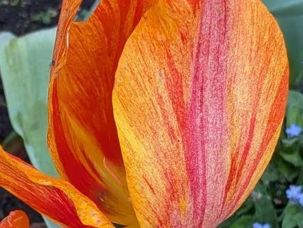 Sonder | Mindful Motivation