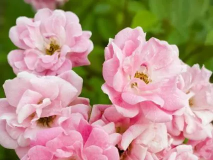 Song for the Night - 9 Hours