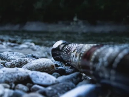 Song Of The Ancestors