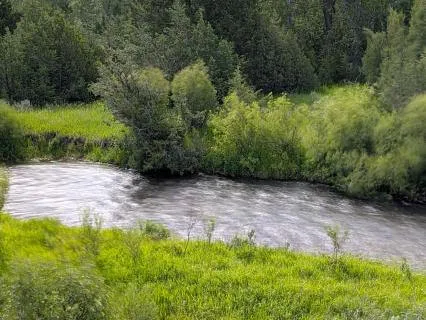 Song The River Sings | Harp Music For Healing