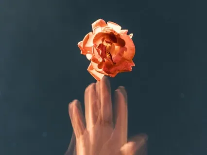 Songs For The Flowers (Piano)