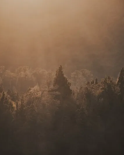 Songs From The Soul (Cello)