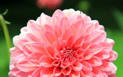 Songs From The Soul #3- Introvert 