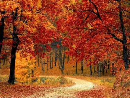 Songs Of Beauty For Meditation With Voices