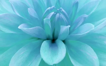 Sonic Healing: G (6Hz Theta) For Throat Chakra Release