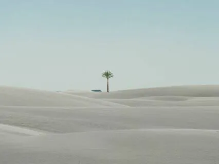 Sonic Oasis: Drowning Out Life's Noises